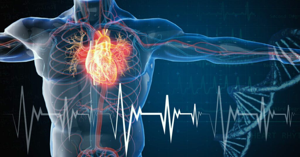 Stress e sistema cardiovascolare