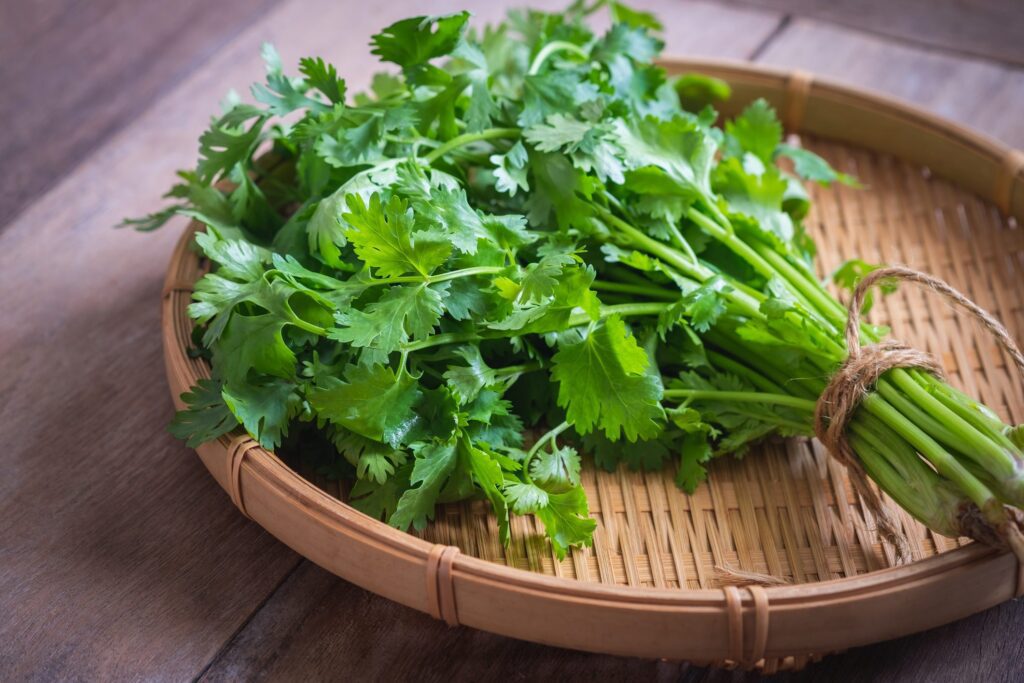 Coriandolo per i disturbi gastrointestinali