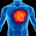 Il cuore umano