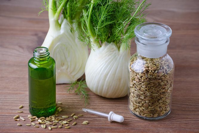 I Benefici del Finocchio per la Digestione e la Flatulenza