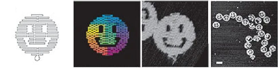 Facce sorridenti create con la tecnica del DNA a origami (largezza 100nm). Lo scienziato Paul W. K. Rothemund ha dimostrato che da molecole di DNA si può potenzialmente creare qualsiasi forma o sagoma.