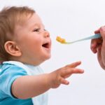 L'Alimentazione del Bambino