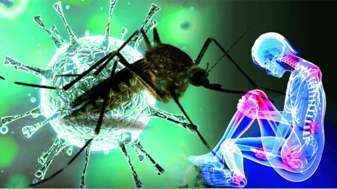 Virus Chikungunya in Italia
