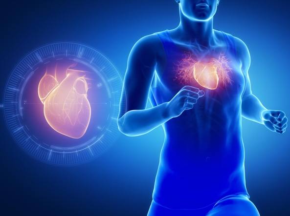 Gestione del Peso nella Prevenzione delle Malattie Cardiache