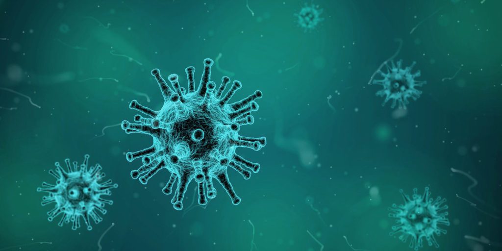 L’immunità innata