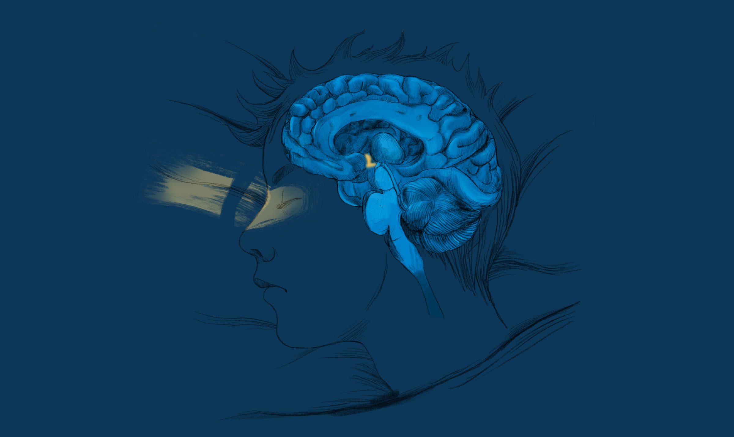 La Scienza del Sonno e dei Sogni