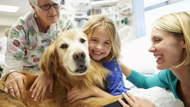 Cani da Terapia benessere