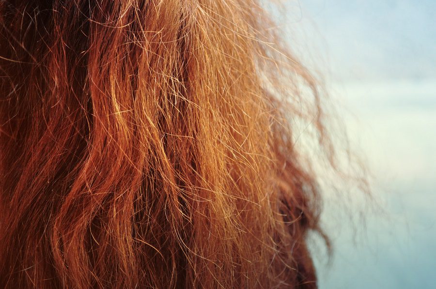 Capelli Secchi e Crespi