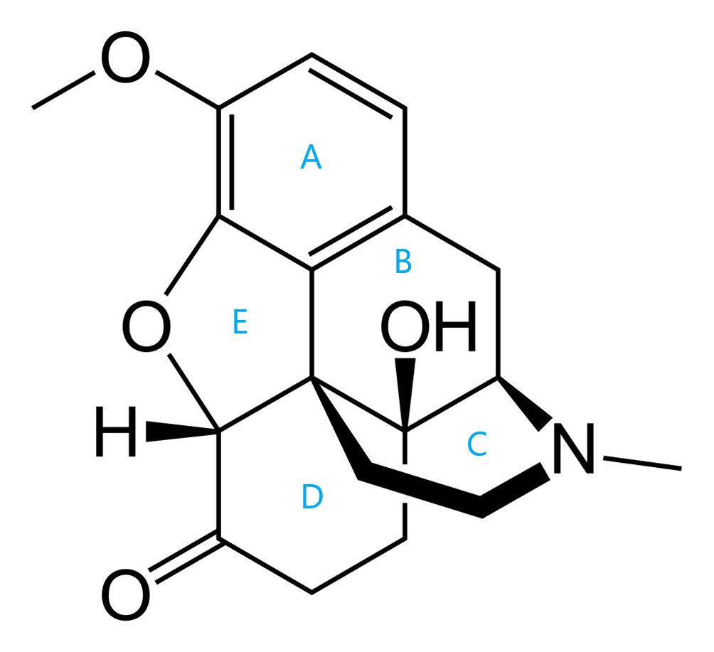 Figura 2- Struttura chimica di una molecola di ossicodone 
