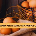 Salmonella nelle Uova Ministero