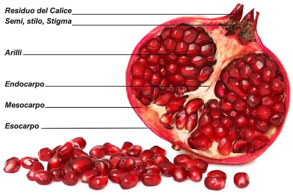 Melagrana Benefici