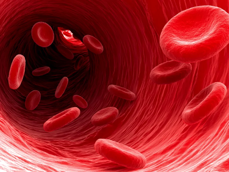 Metabolismo degli Eritrociti