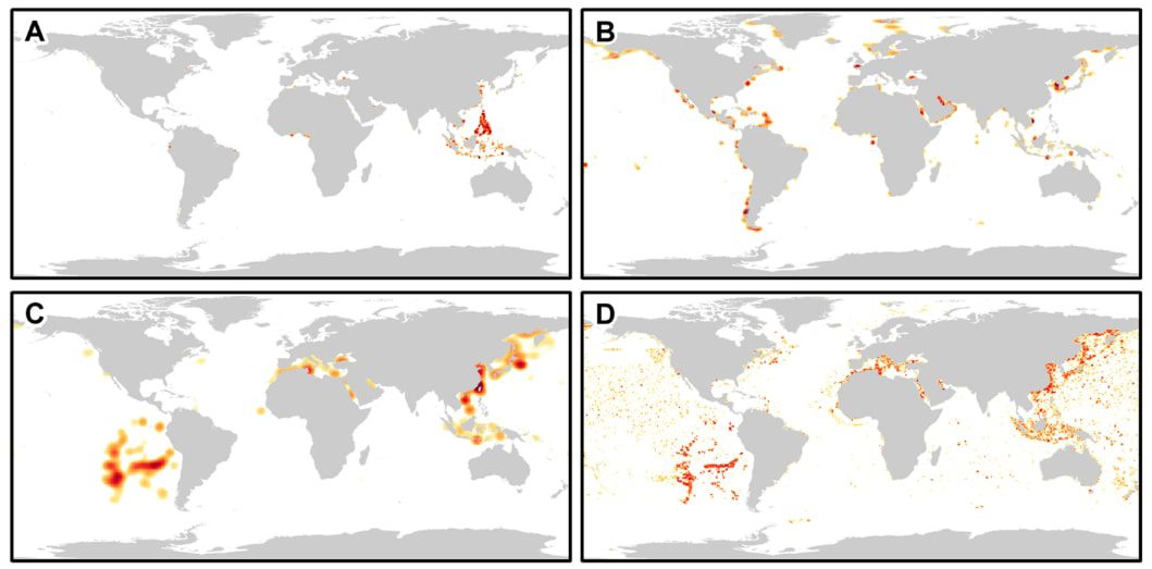 Perdite globali degli attrezzi da pesca: tutte le reti, in metri quadrati (A), conteggio numerico di nasse e trappole (B), palangari in metri (C), conteggio numerico di ami per palangari (D). Le unità di perdita degli attrezzi si riferiscono a chilometro quadrato di oceano. Recuperare le reti da pesca fantasma è l'unico modo per eliminarle dagli oceani.