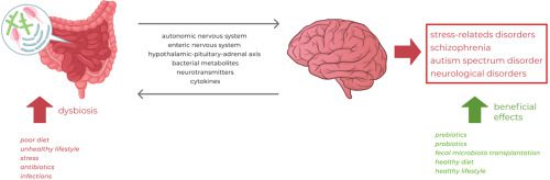 Le possibili terapie su microbiota e depressione