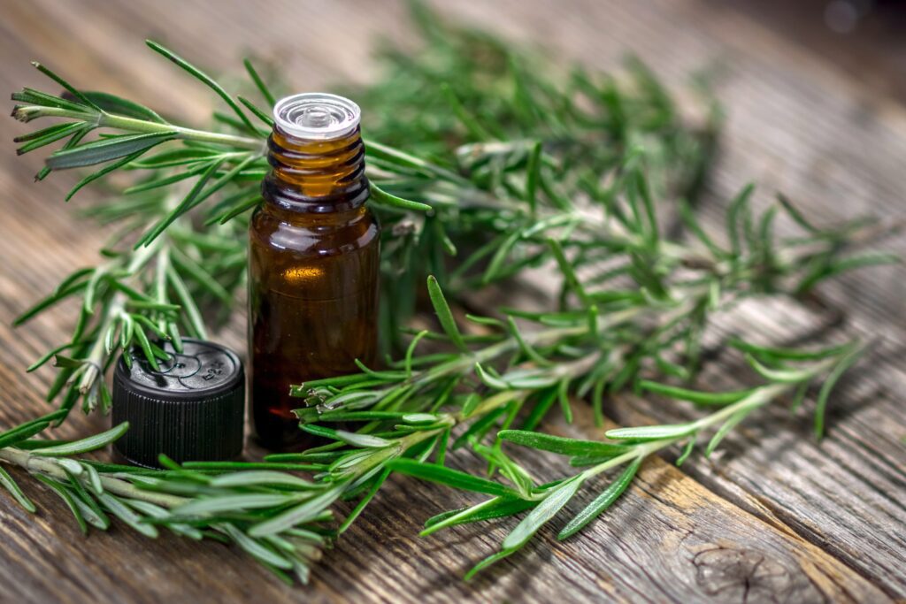 L'Uso Terapeutico dell'Olio Essenziale di Rosmarino
