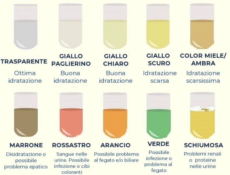 Colore e Aspetto delle Urine