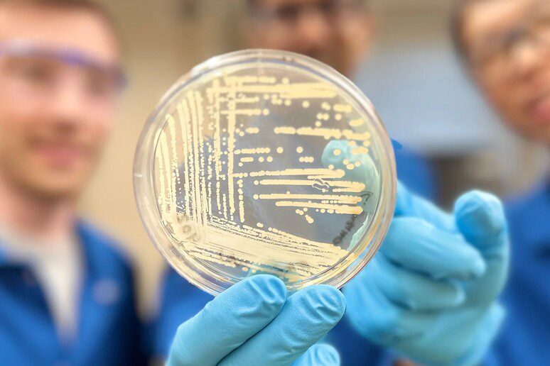 Cresomicina per i batteri multiresistenti