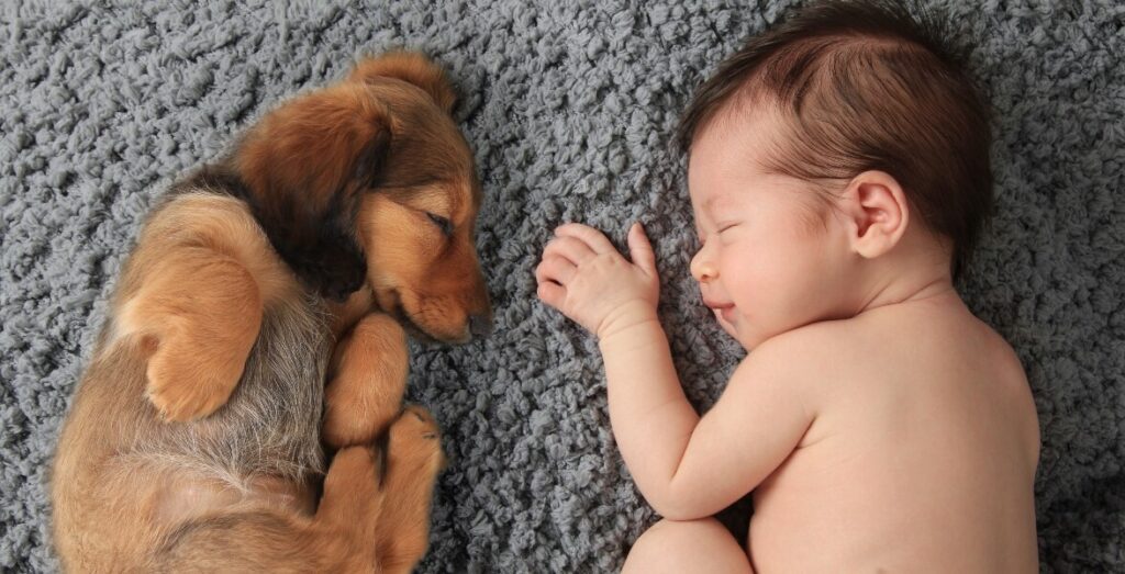 Bambini e Animali Domestici benefici