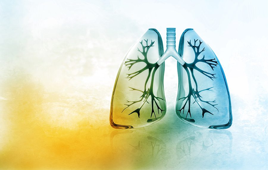 Cura della Salute Respiratoria