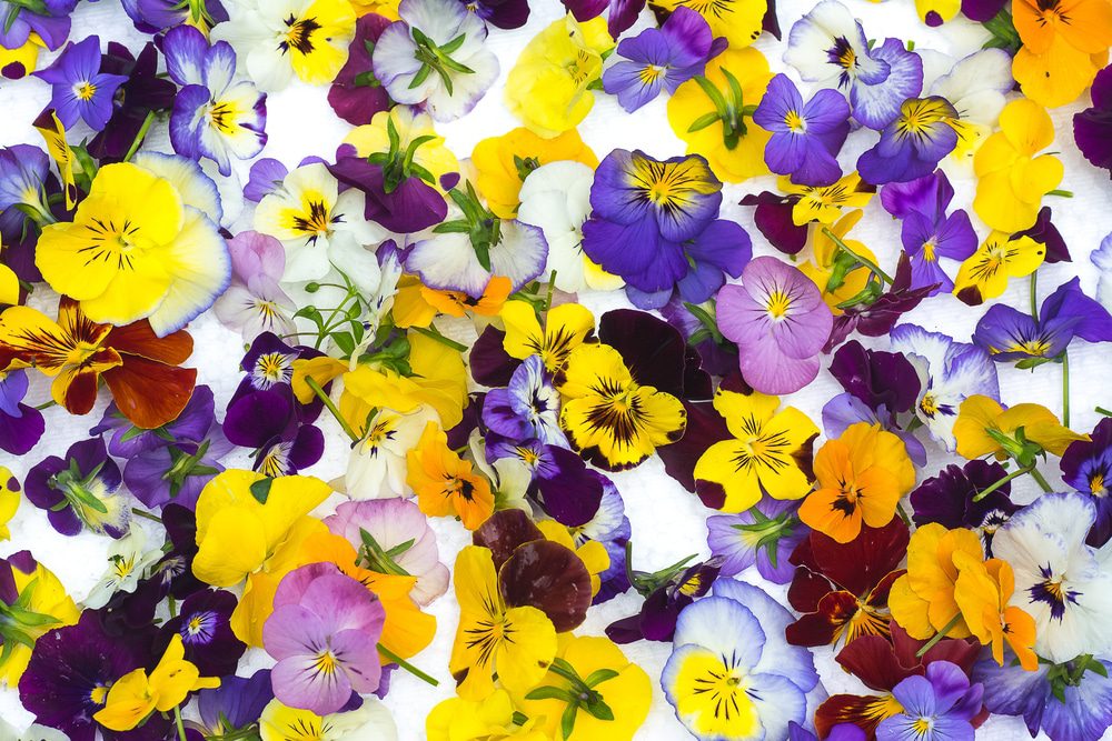 Fiori Benefici
