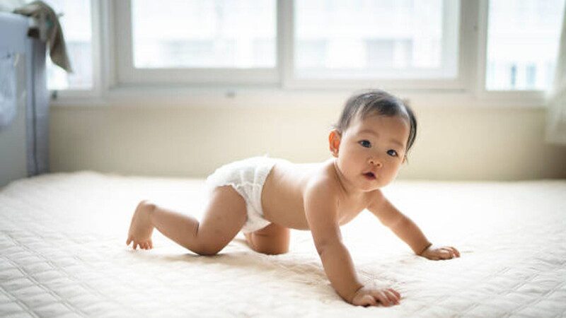 Perch&eacute; i Neonati Gattonano