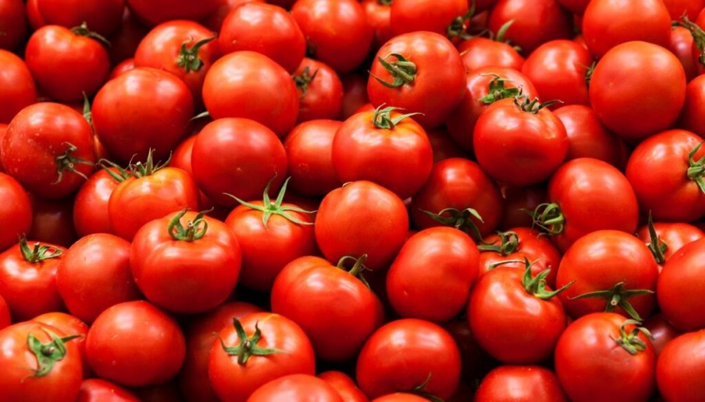 Potere Benefico del Pomodoro