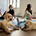 Puppy Yoga Bandito in Italia