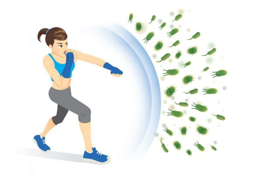 Fitness e sistema immunitario