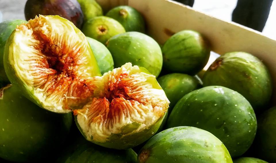 fichi e metabolismo