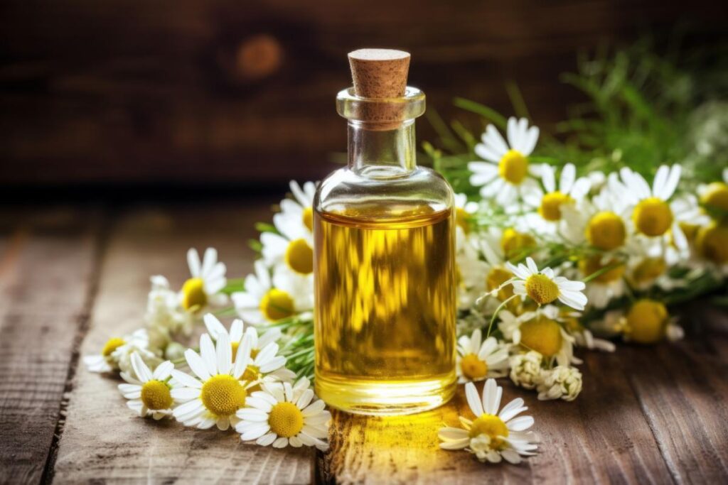 olio essenziale camomilla romana