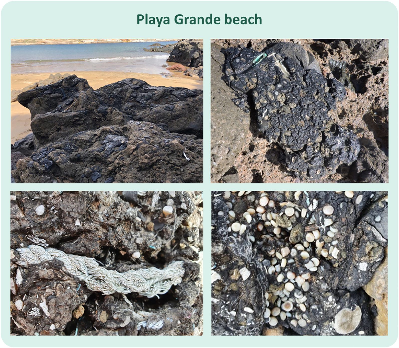 Plastitar presente sulla spiaggia Playa Grande a Tenerife.
