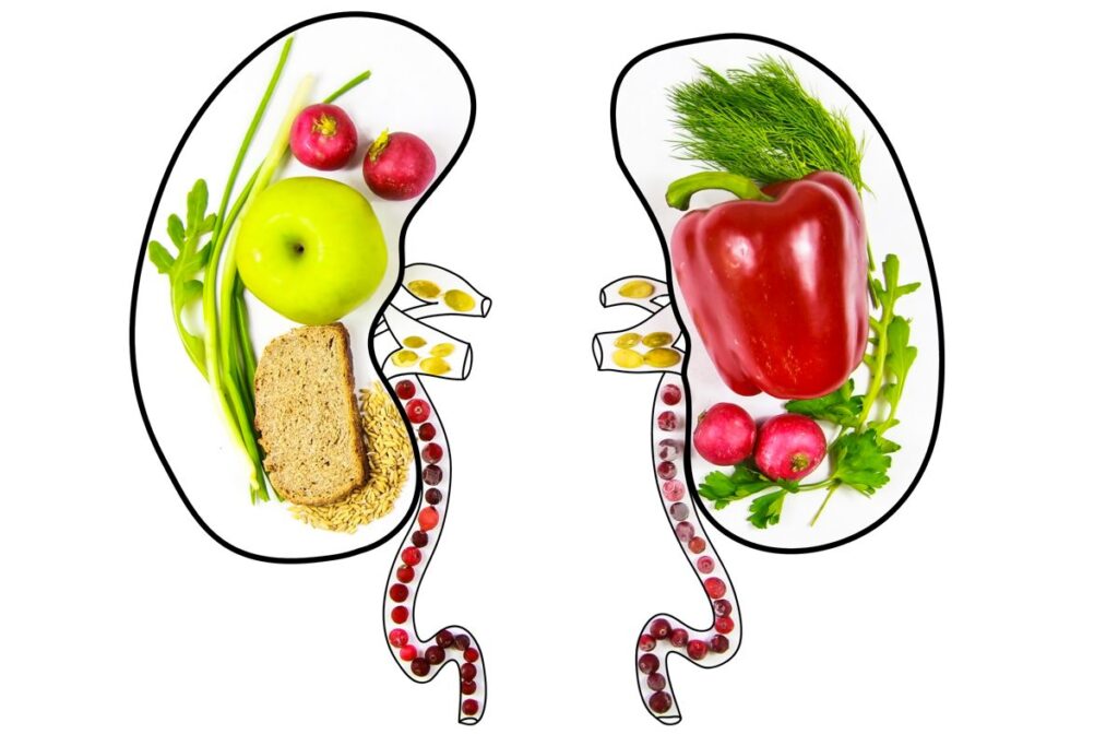 Dieta per la Salute Renale