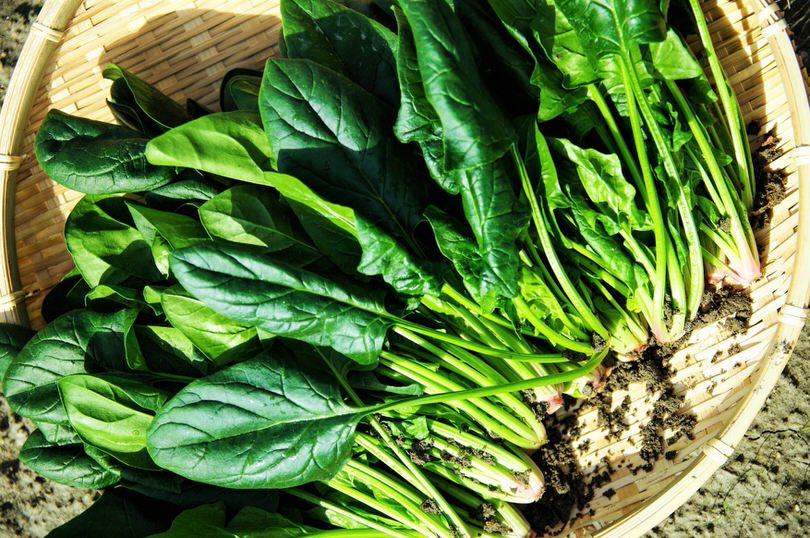 Spinaci e sistema immunitario