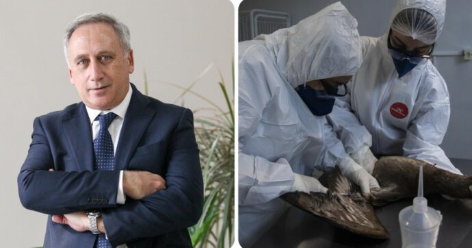 Aviaria Prossima Pandemia