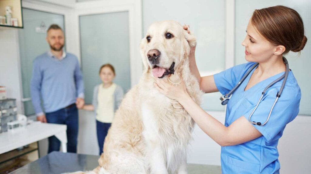 Radiologia Veterinaria