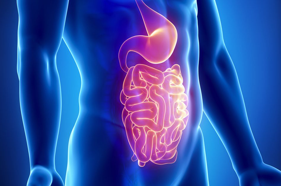 La sindrome della fermentazione intestinale