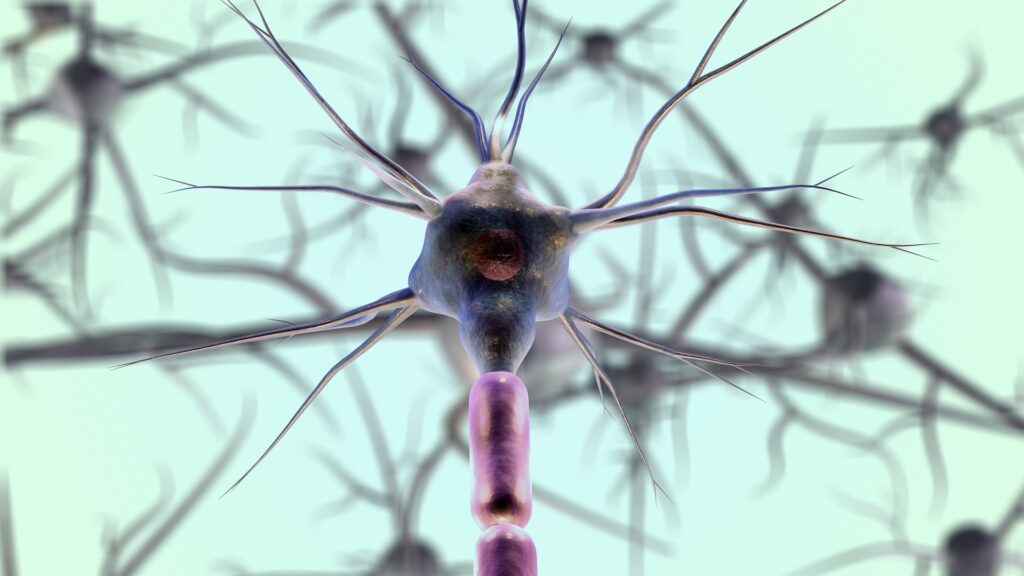Neuroni con impulsi nervosi grazie a ioni sodio e potassio, spesso coinvolti nel legame ionico
