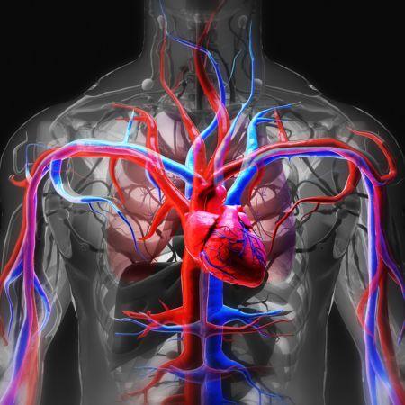 Cardiopatie: Fattori di rischio e prevenzione