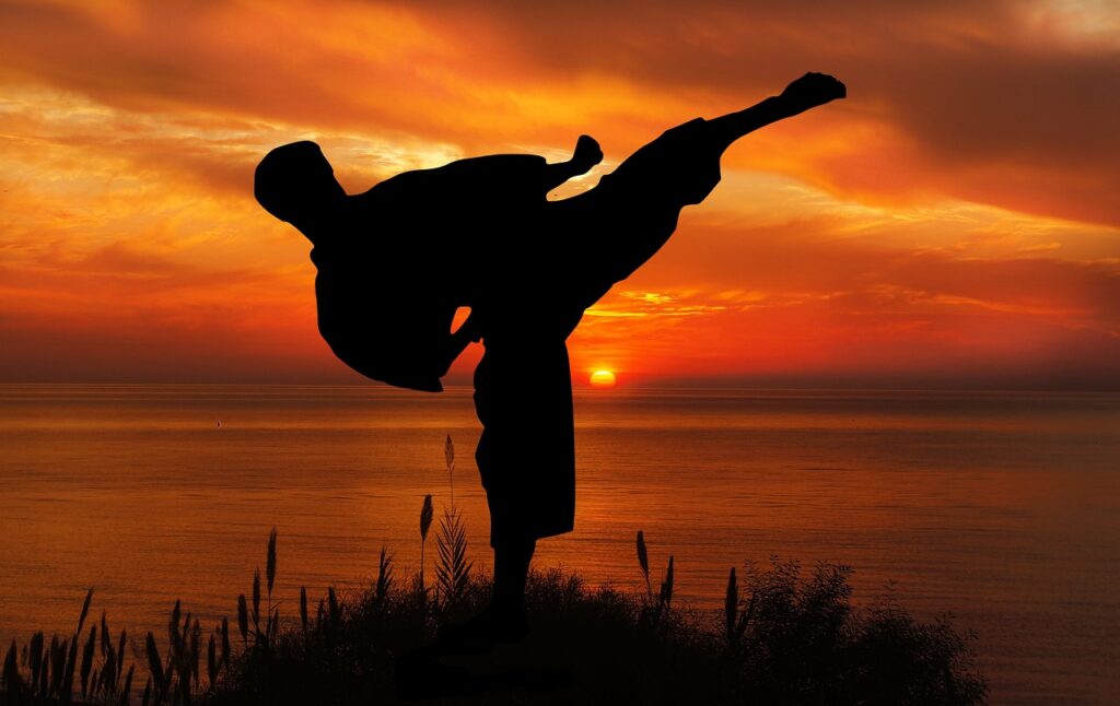 Allenamento karate a casa: come mantenersi in forma e migliorarsi