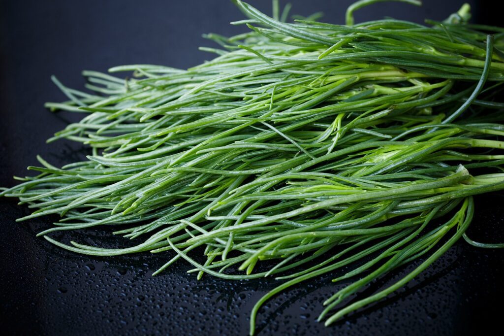 Come si coltivano gli agretti: guida pratica per un raccolto sano