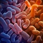 Gastrite batterica: cause, sintomi e trattamenti