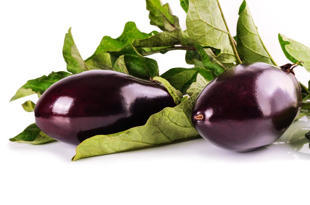 Ricette di melanzane: versatilità e gusto in cucina