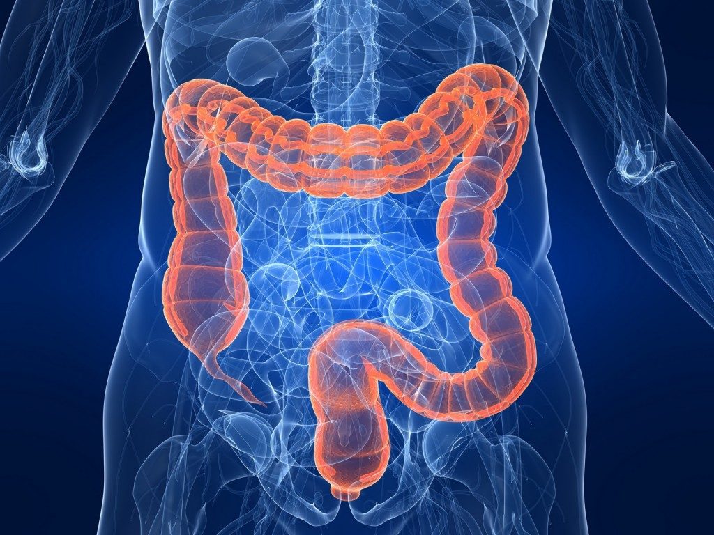 Allergie e Colon Irritabile: Come Sono Collegati e Cosa Fare