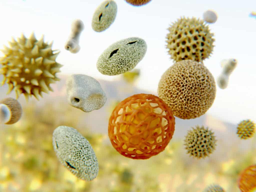 Allergie Crociate: Cause, Sintomi e Strategie di Gestione