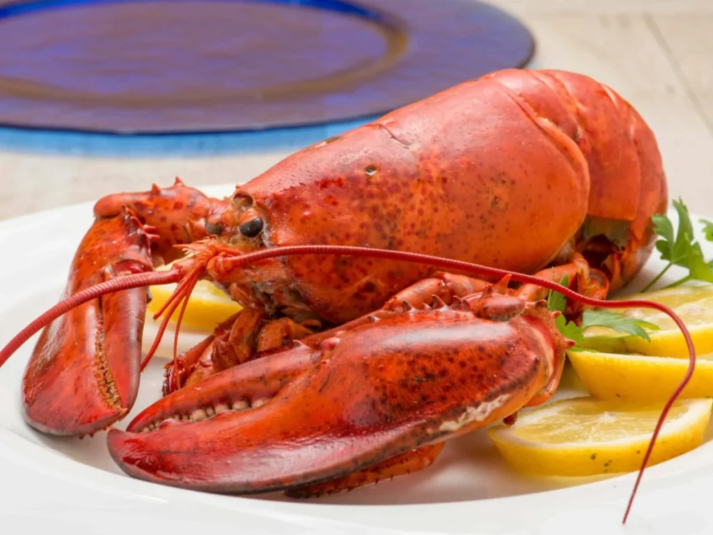 Come Mangiare Astice: Guida Completa