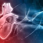 Cardiopatia Ipertrofica: Sintomi, Cause e Trattamenti