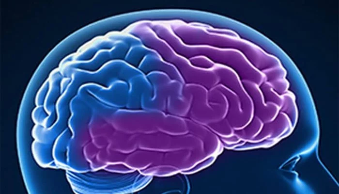 Cervello Atrofizzato: Cause, Sintomi e Strategie per la Prevenzione