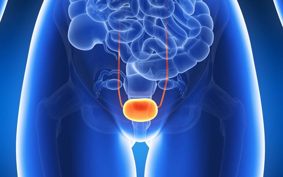 Problemi Intestinali e Cistite: Comprendere la Connessione
