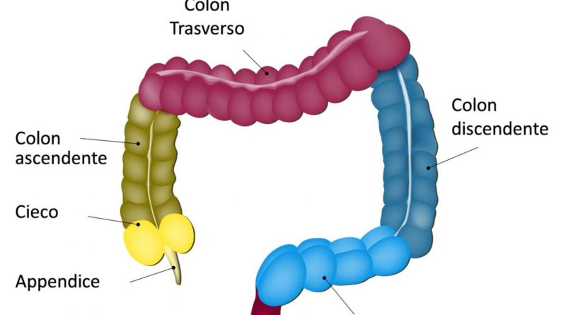 Colon Discendente Infiammato: Cause, Sintomi e Trattamenti