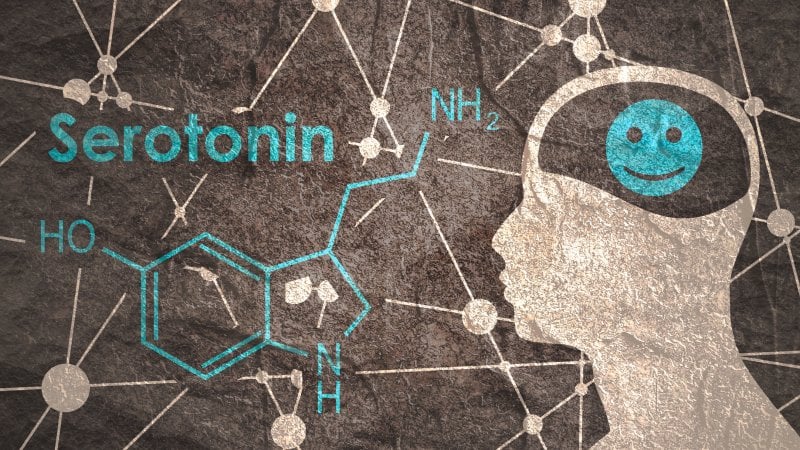 La Depressione Biologica: Cause, Sintomi e Trattamenti